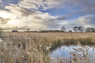 hickling-broad-and-marshes-norfolk-wildlife-trust